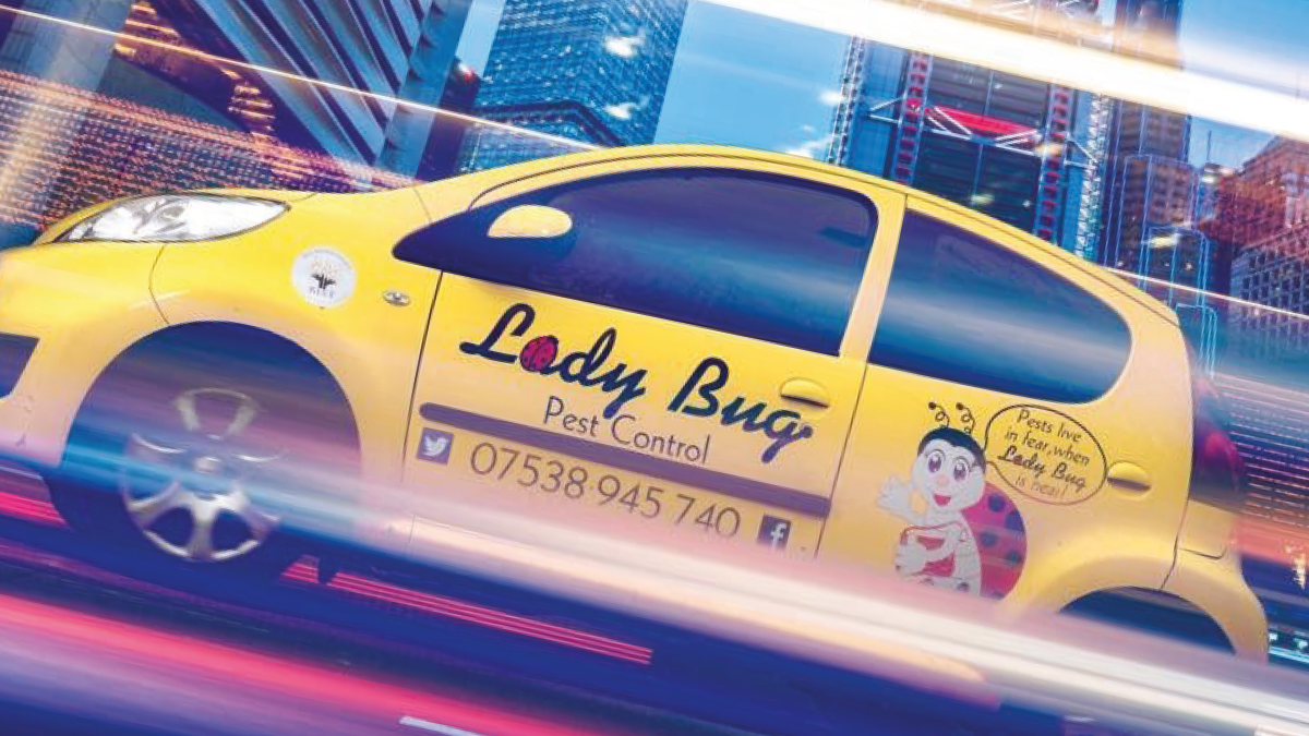 Meet the member lady bug pest control Meet the member lady bug pest control
